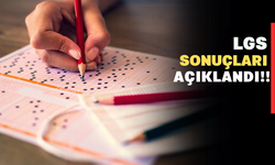 LGS Sonuçları Açıklandı!!