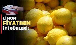 Uşak Çarşamba pazarında limon rekora koşuyor!