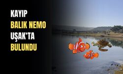 Kayıp Balık Nemo Uşaklı çocuklarla birlikte