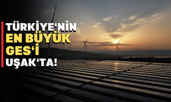 Dünya Yenilenebilir Enerji Gününe Uşak Hibrit GES damga vurdu