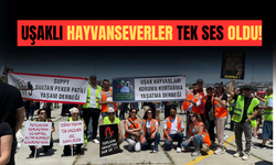 Uşaklı hayvanseverler İstanbul mitinginde bir araya geldi