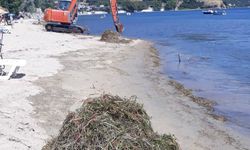 Erdek’te Koruma Altındaki Deniz Çayırı Katliamı