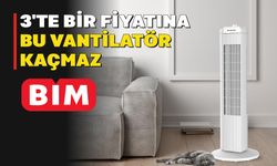 Yarın BİM’e 3’te 1 fiyatına Kule Tipi Vantilatör geliyor