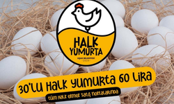 Uşak’ta halk yumurta yüzde 50 daha ucuz