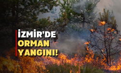 İzmir Buca’da orman yangını!