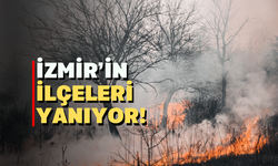İzmir'in ormanları tek tek yanıyor!