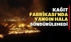 Kağıt Fabrikası'nda Yangın Hala Söndürelemedi