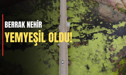 Su akışı durdu,  Nehir yeşile döndü