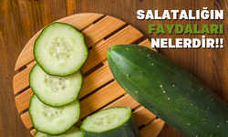 Salatalığın Sağlığa Faydaları?