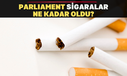 PARLIAMENT sigara grupları ne kadar oldu?