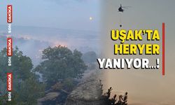 Uşak'ta Yangın Yeri