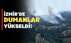 Son dakika: İzmir'de orman yangını
