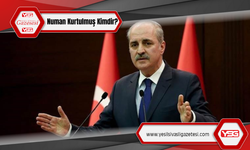 Prof. Dr. Numan Kurtulmuş Kimdir?