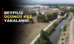 Beypiliç Üçüncü Kez Yakalandı..!