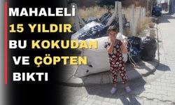 Uşak’ın bu mahallesi çöpten ve farelerden dertli