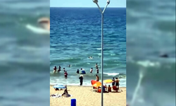 Köpek balığı saldırısı: 1 ölü