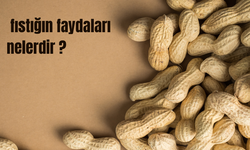 Yer Fıstığının Faydaları Nelerdir?