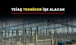 TEİAŞ Uşak’ta çalışacak tekniker arıyor