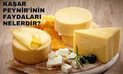 Kaşarın Faydaları Nelerdir?