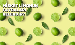 Misket Limonun (Lime)  Faydaları Nelerdir?