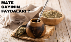 Mate Çayının Faydaları Nelerdir?