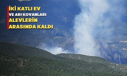 Orman yangını: İki katlı ev ve 100 arı kovanı zarar gördü