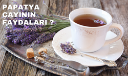 Lavanta Çayının Faydaları?