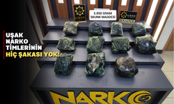 Uşak Narkotik Şube ekipleri 5,850 kilo skunk ele geçirdi