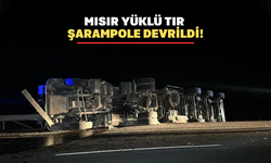 Uşak'ta mısır yüklü tır devrildi