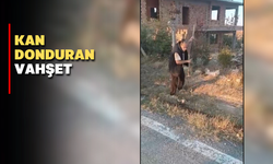 Kan Donduran Vahşet