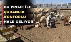 Uşaklı hayvan üreticileri için yaşam alanı projesi