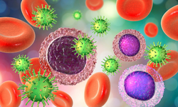 "Geniz eti, tekrarlayan solunum yolu enfeksiyonu sebebi"