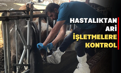 Eşme’de tarımsal çalışmalar hız kesmeden devam ediyor