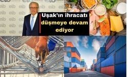 Uşak’ın ihracatı geçen yıla göre düştü