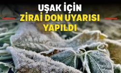 Zirai Don Riski Uyarısı: Uşak'ın Yüksek Kesimlerinde Dikkat!