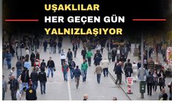 Uşak yalnız insanlar şehri oldu