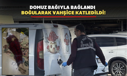 Yalova'da kadın girişimci evinde çalışanları tarafından vahşice öldürüldü.!