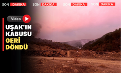 Uşak-Afyonkarahisar arasında yangın