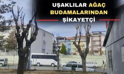 Uşak Belediyesi ağaç budamalarına tepki var