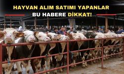 Uşak’ta hayvan pazarı açılış saatleri değişti