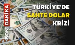 Türkiye’de 600 Milyon Dolar Tutarında Sahte Dolar Krizi