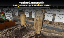 Parçalanmış halde bebek cesedi bulundu.!