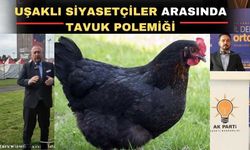 Uşaklı siyasetçiler arasındaki tavuk tartışması büyüyor