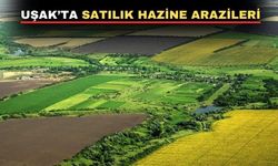 Uşak’ın dağı taşı satışa çıkarıldı