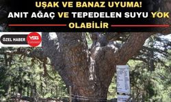 Uşak ve Banaz Murat Dağı’na sahip çık!