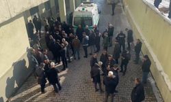 Başıboş köpekler 12 yaşındaki çocuğu hayattan kopardı