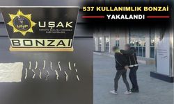 Uşak’ta çok miktarda yasaklı madde yakalandı; 1 kişi tutuklu