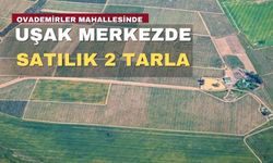 Uşak merkezde satılık 3810 ve 7861 metrekare tarla