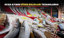 Ocak ayının balıkları Uşaklı balıkçıların tezgahlarında görücüye çıktı