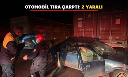 İzmir-Uşak yolunda otomobil yol kenarındaki tıra çarptı